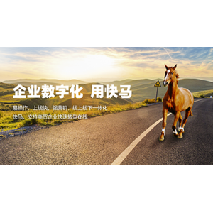 管家婆快馬批發